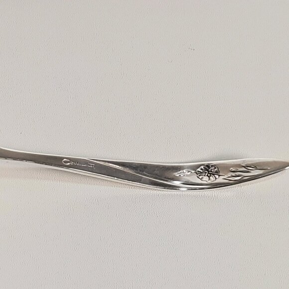 Oneida Morning Rose Soup - Sauce Ladle (4 available) - Picture 10 of 11